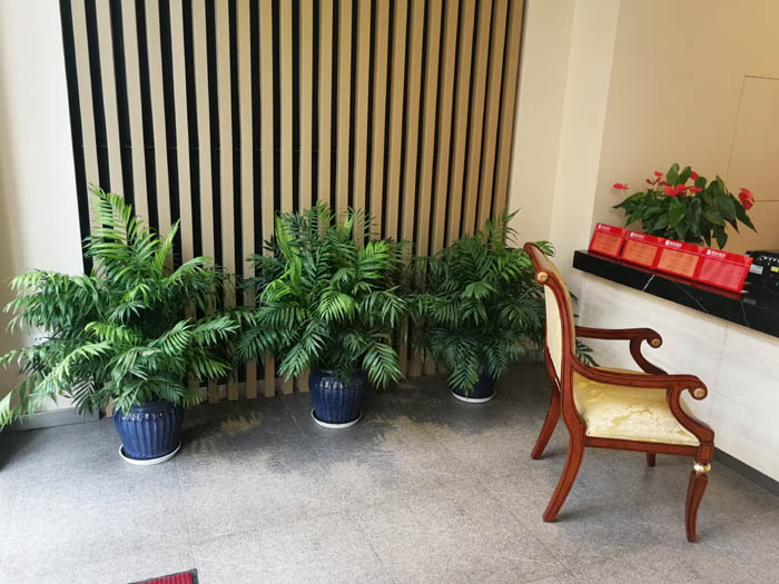 ����˹С�(zh��n)������[