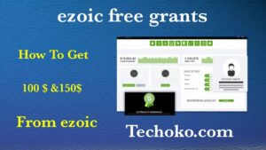 Read more about the article HOW TO GET FREE GRANTS FROM EZOIC ?
